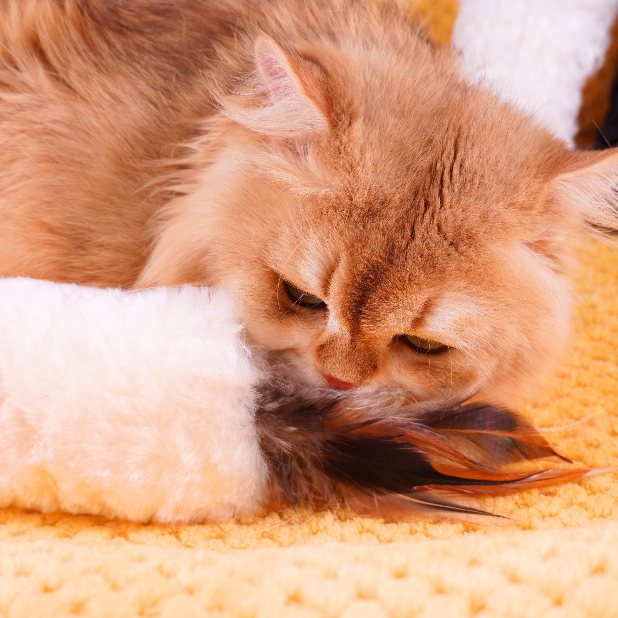 Sheepskin Wool Cat Kicker Toys with Natural Pheasant Feathers