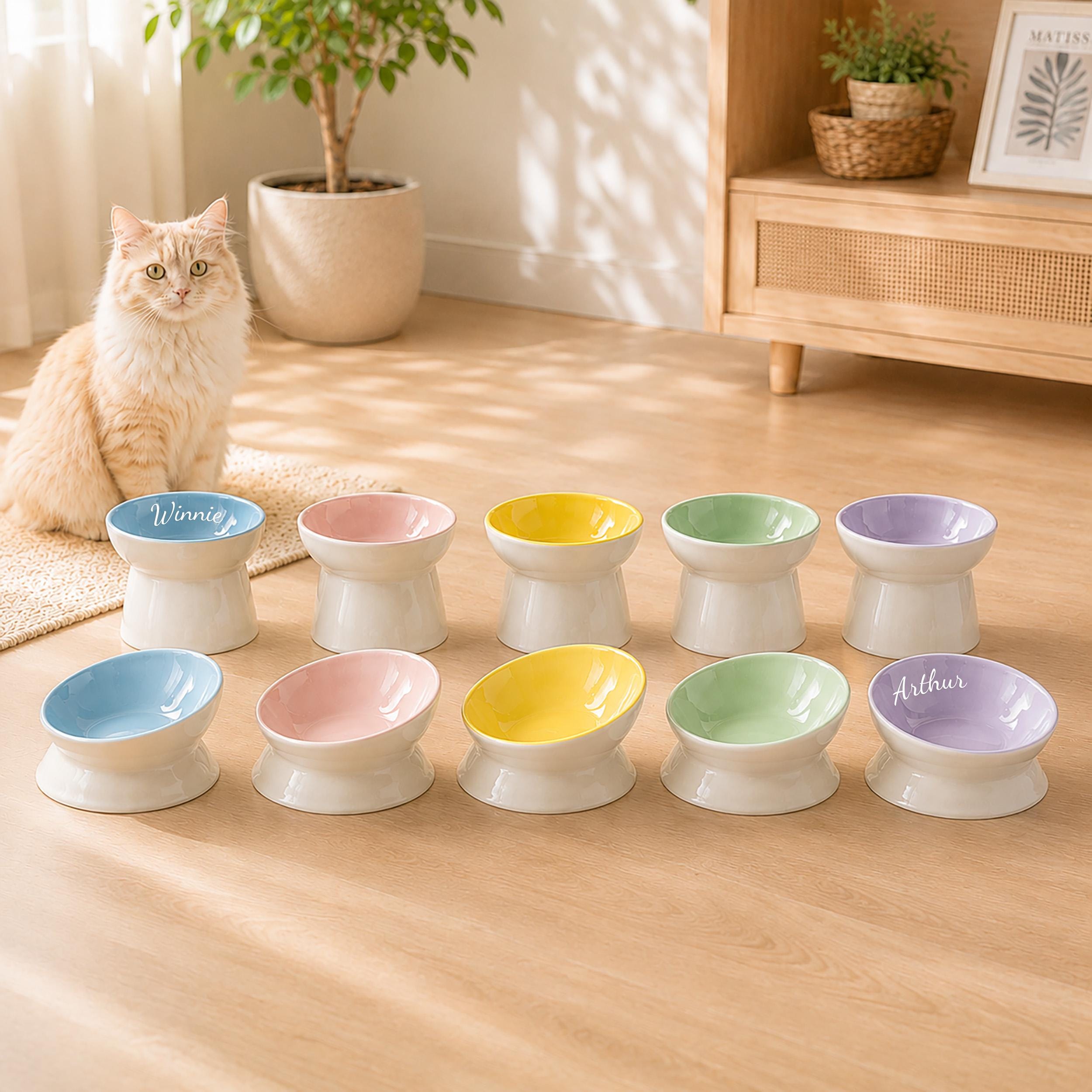 Custom Name Tilted Cat Bowl, Elevated Ceramic Food Dish, Whisker Friendly Pet Feeder, Personalized Gift for Cat Owners