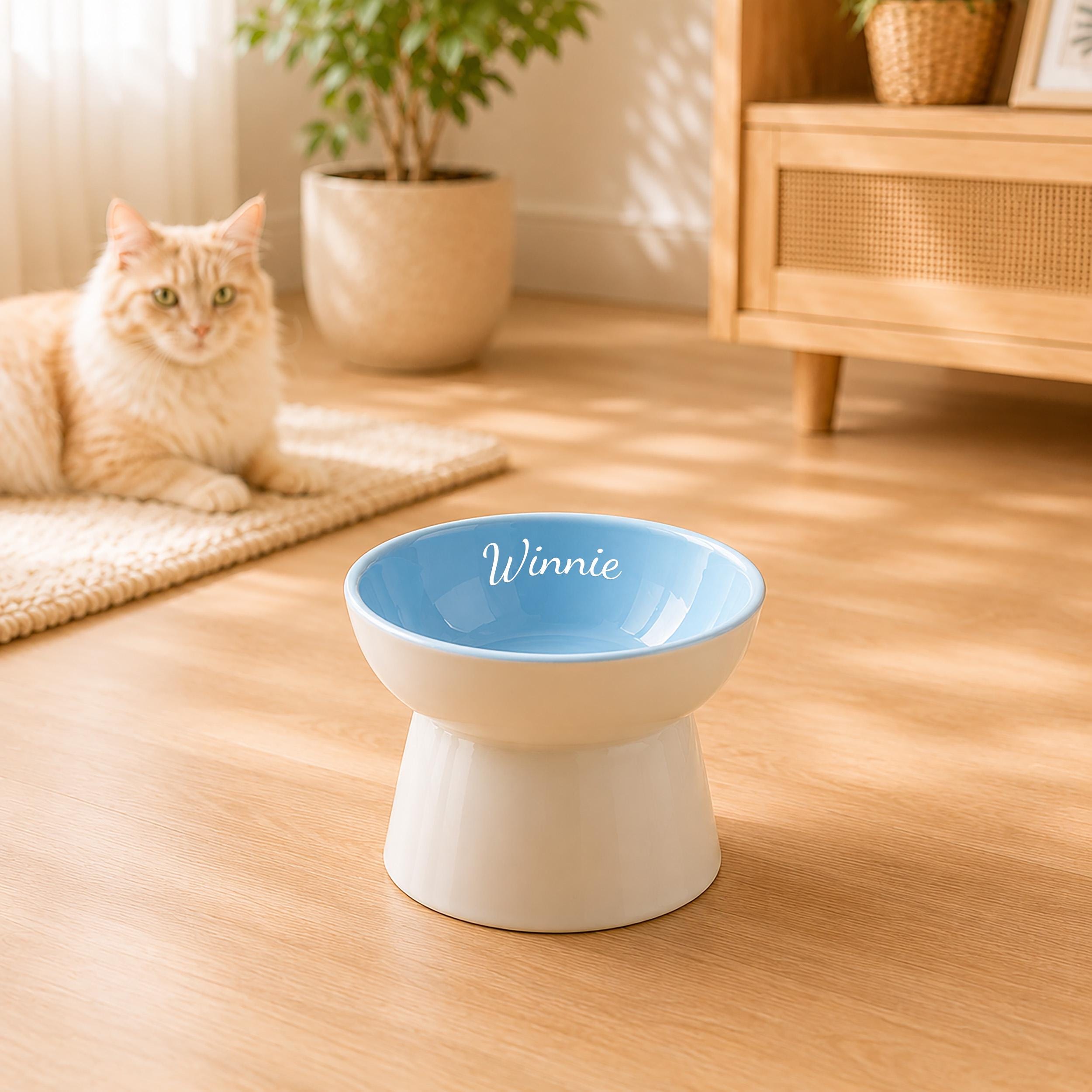 Custom Name Tilted Cat Bowl, Elevated Ceramic Food Dish, Whisker Friendly Pet Feeder, Personalized Gift for Cat Owners