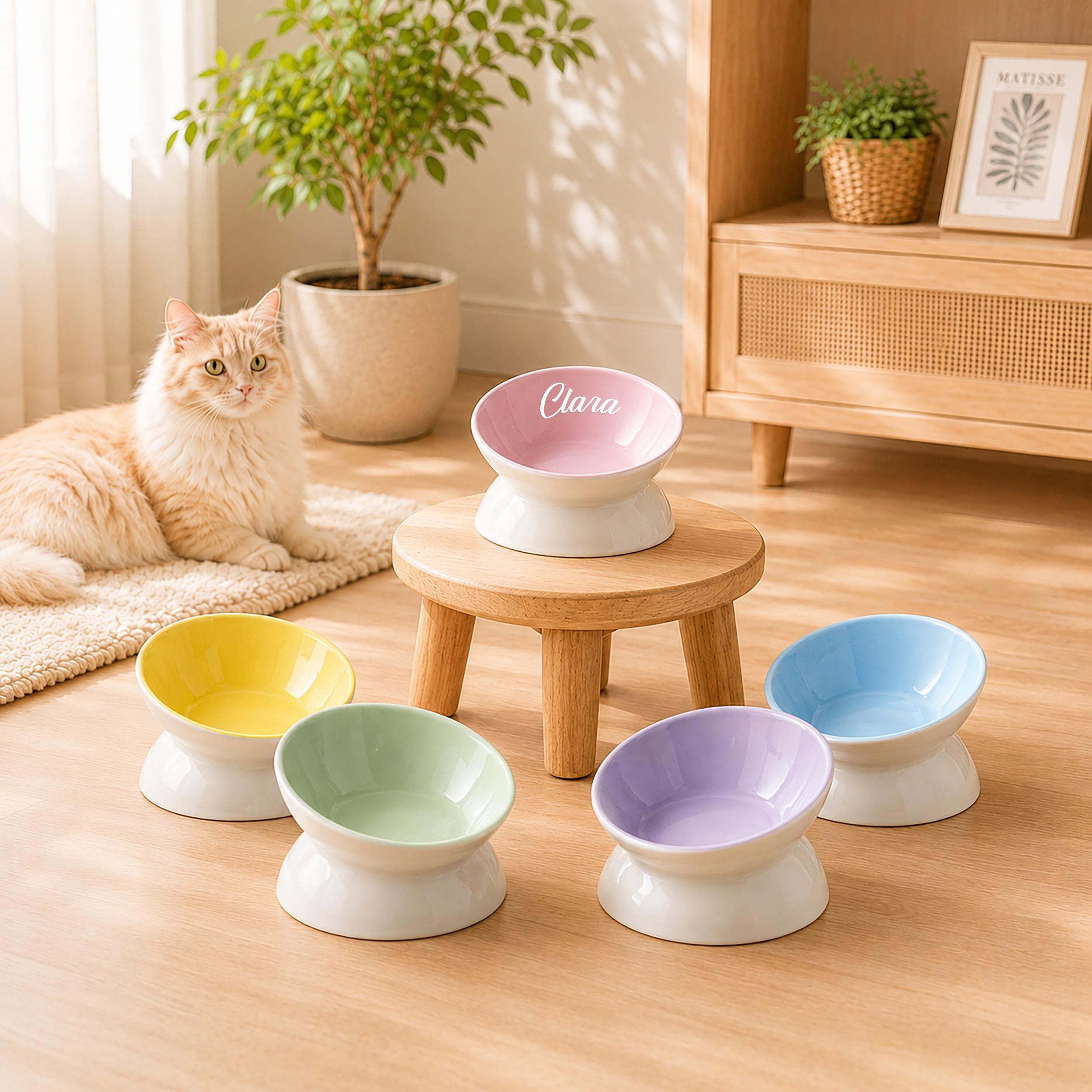 Custom Name Tilted Cat Bowl, Elevated Ceramic Food Dish, Whisker Friendly Pet Feeder, Personalized Gift for Cat Owners