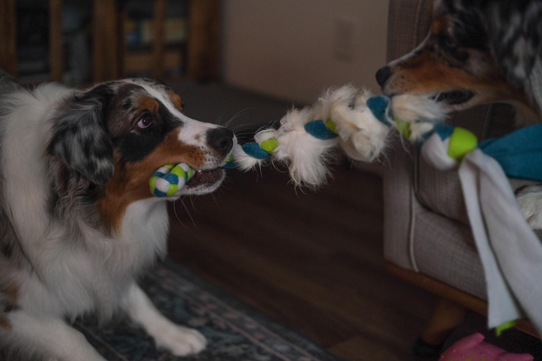 Fleece & Sheepskin Dog Tug Toy - Custom Colors