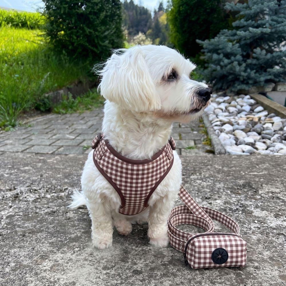 Brown Gingham Dog Harness & Sailor Bow Collar Set, Custom Engraved Dog Collar, Fall Dog Walking Set, Personalized Puppy Gift, Dog Leash