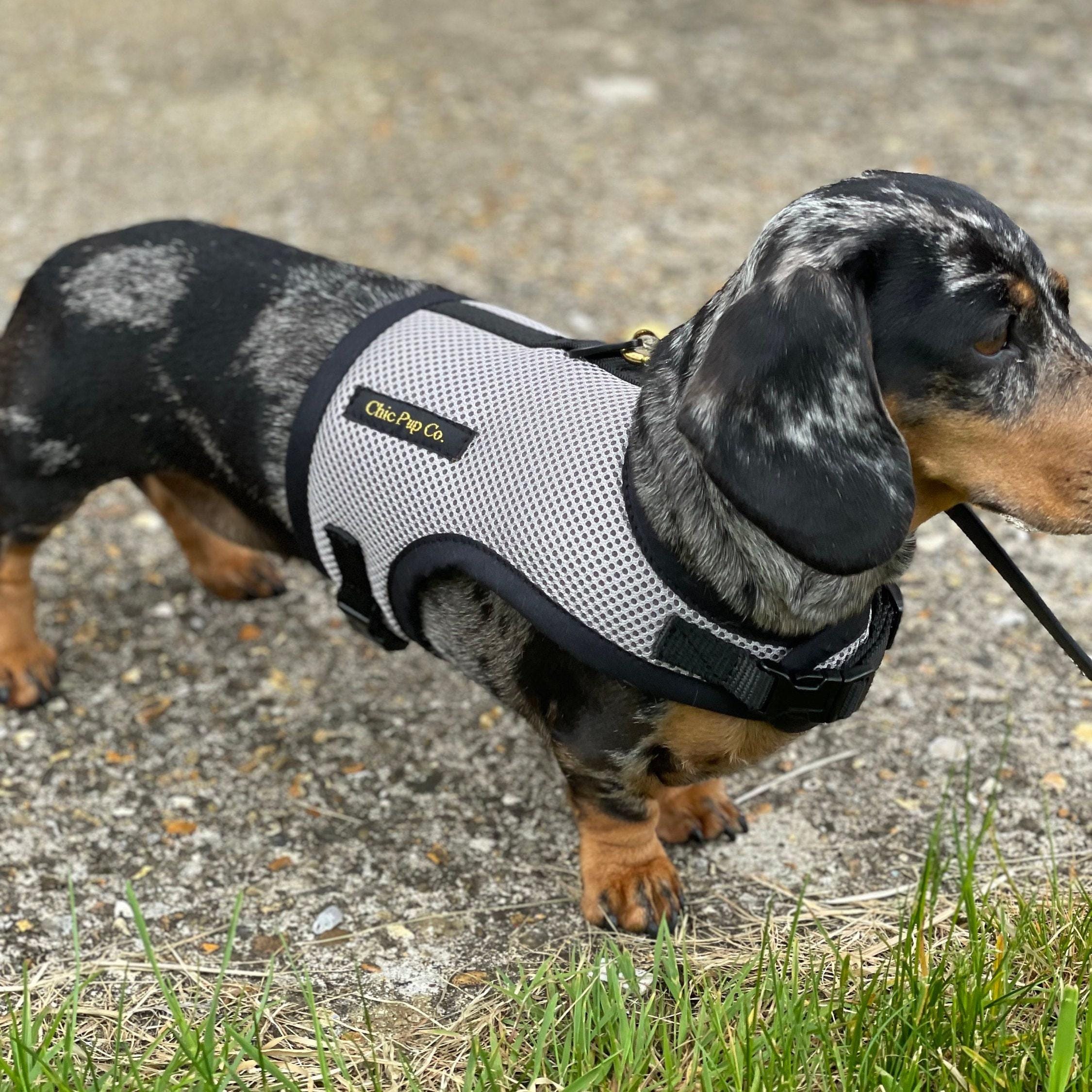Dachshund No Rub Harness, Comfortable Breathable Mesh Dog Harness