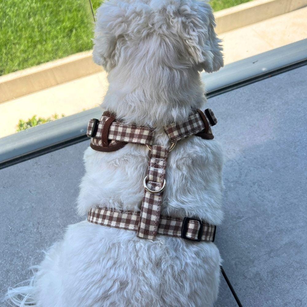 Brown Gingham Dog Harness & Sailor Bow Collar Set, Custom Engraved Dog Collar, Fall Dog Walking Set, Personalized Puppy Gift, Dog Leash
