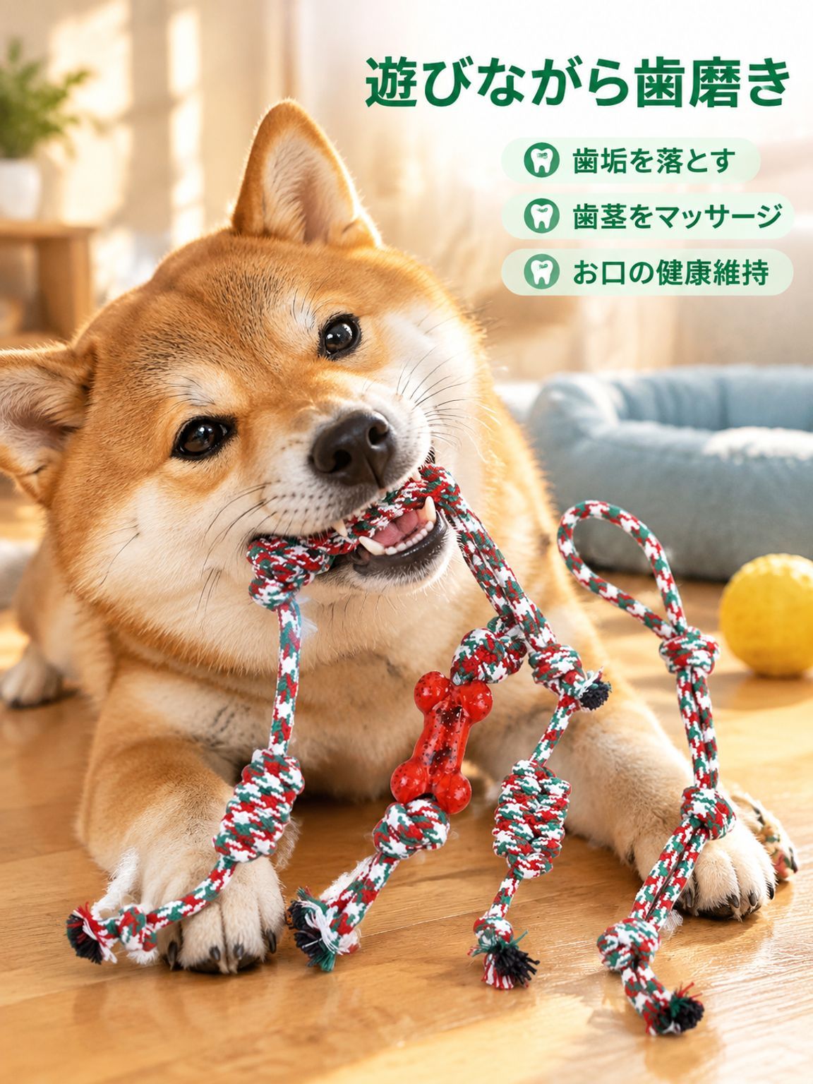 ペット用カラフル綿ロープおもちゃセット