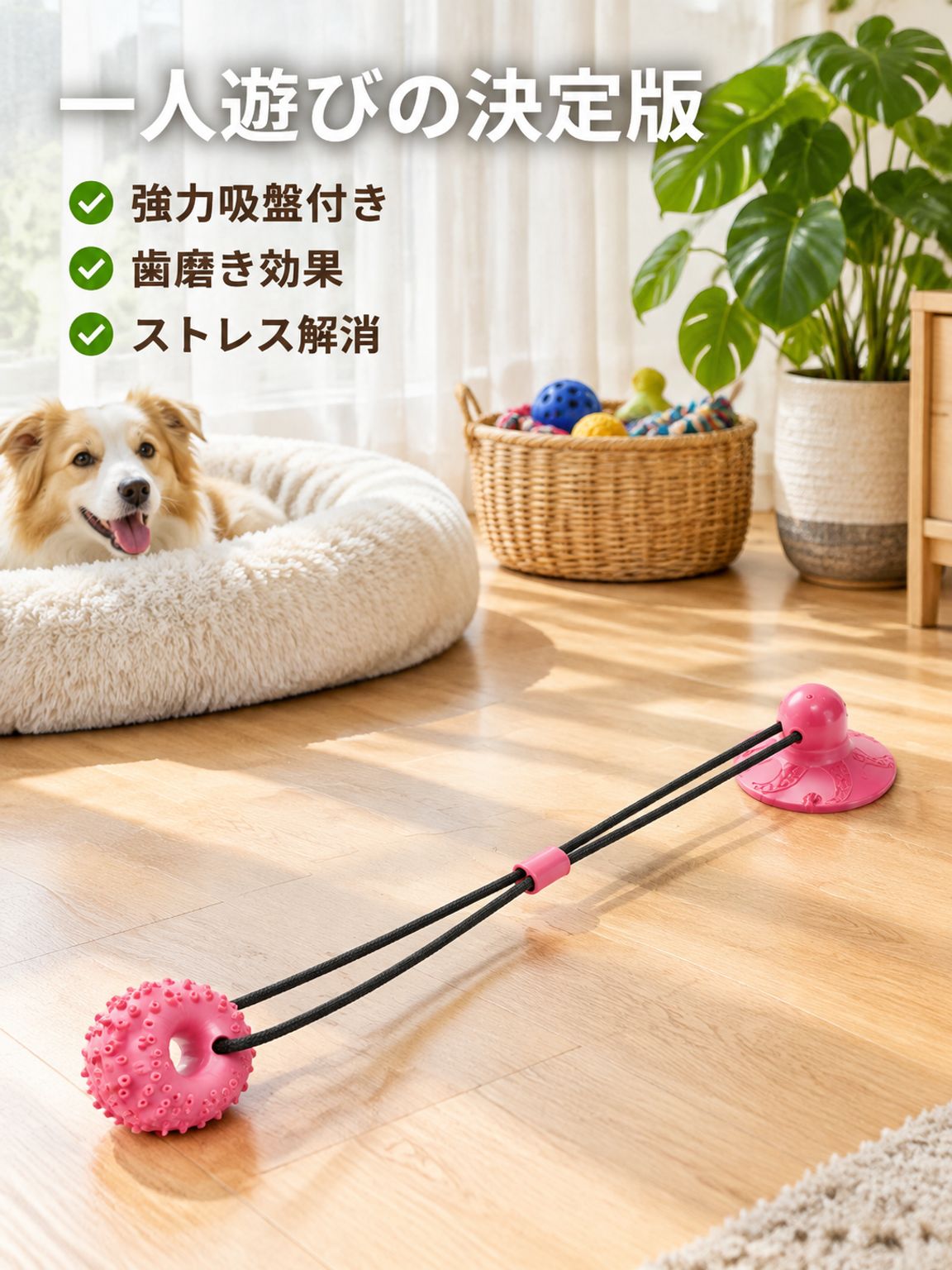 犬用吸盤付き歯磨きおもちゃ 弾力性のある噛むおもちゃ