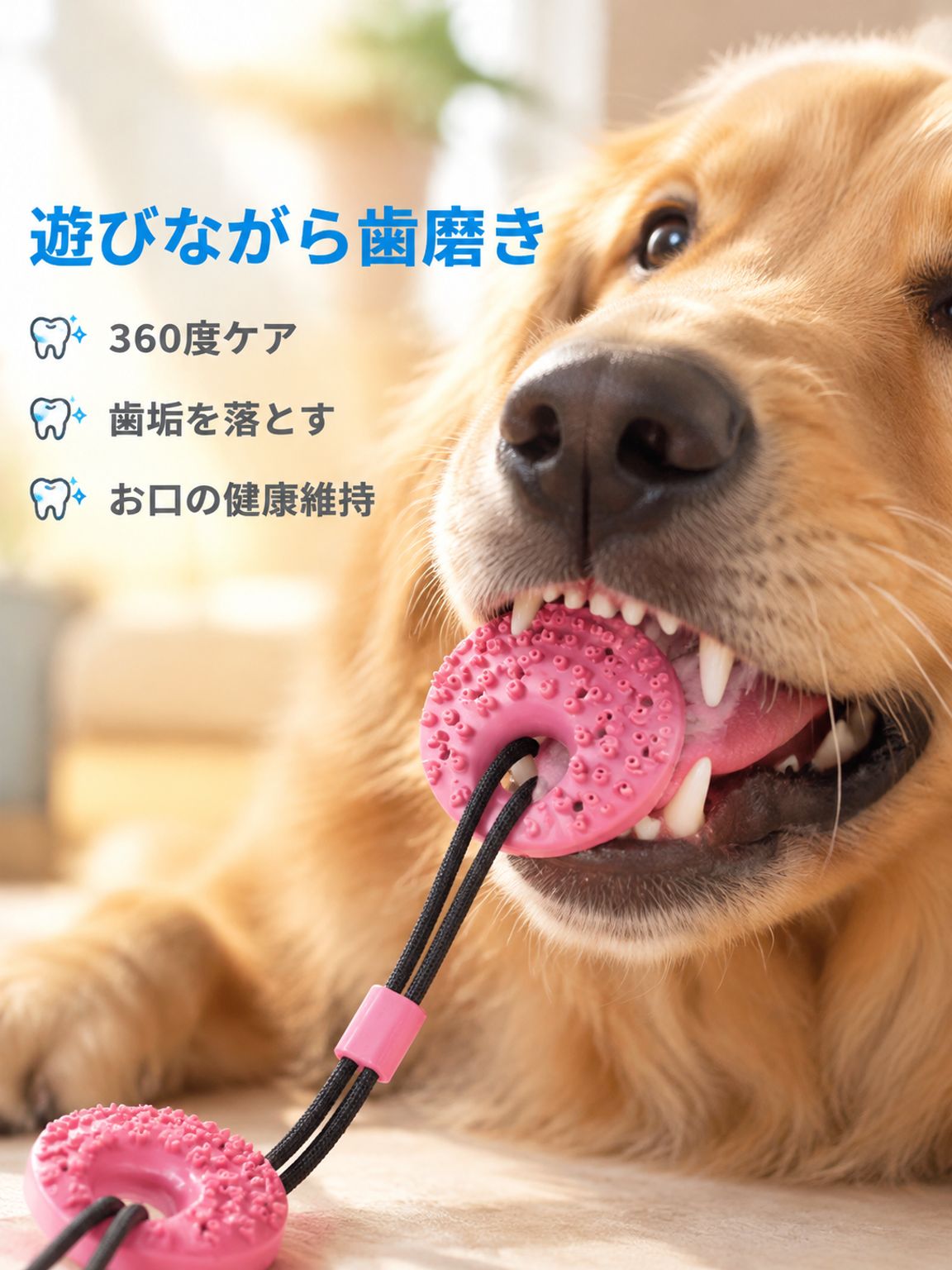 犬用吸盤付き歯磨きおもちゃ 弾力性のある噛むおもちゃ