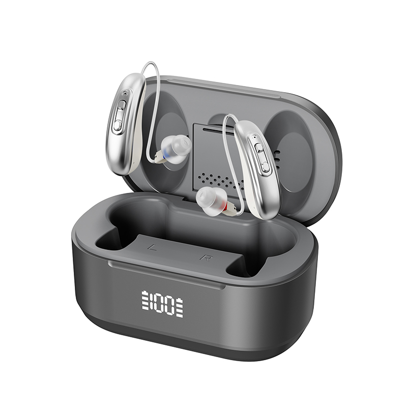 Audelvia RIC portable charging case