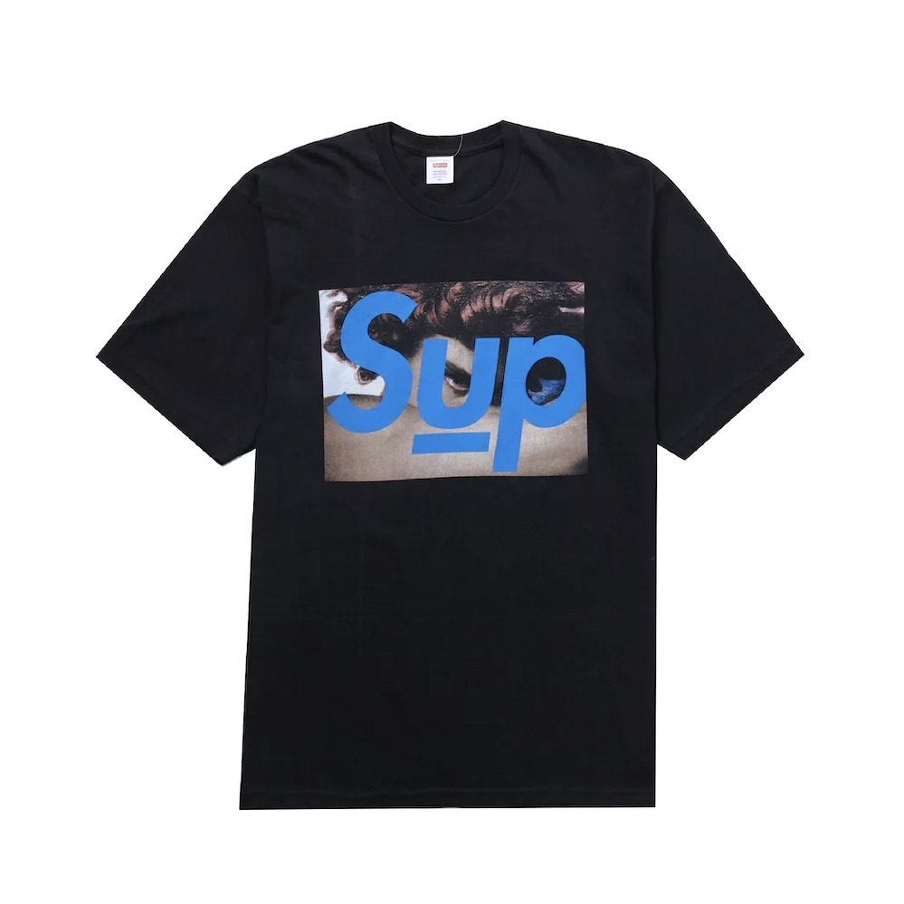 ★SUPREME x UNDERCOVER★洗練された芸術★話題のコラボTシャツ