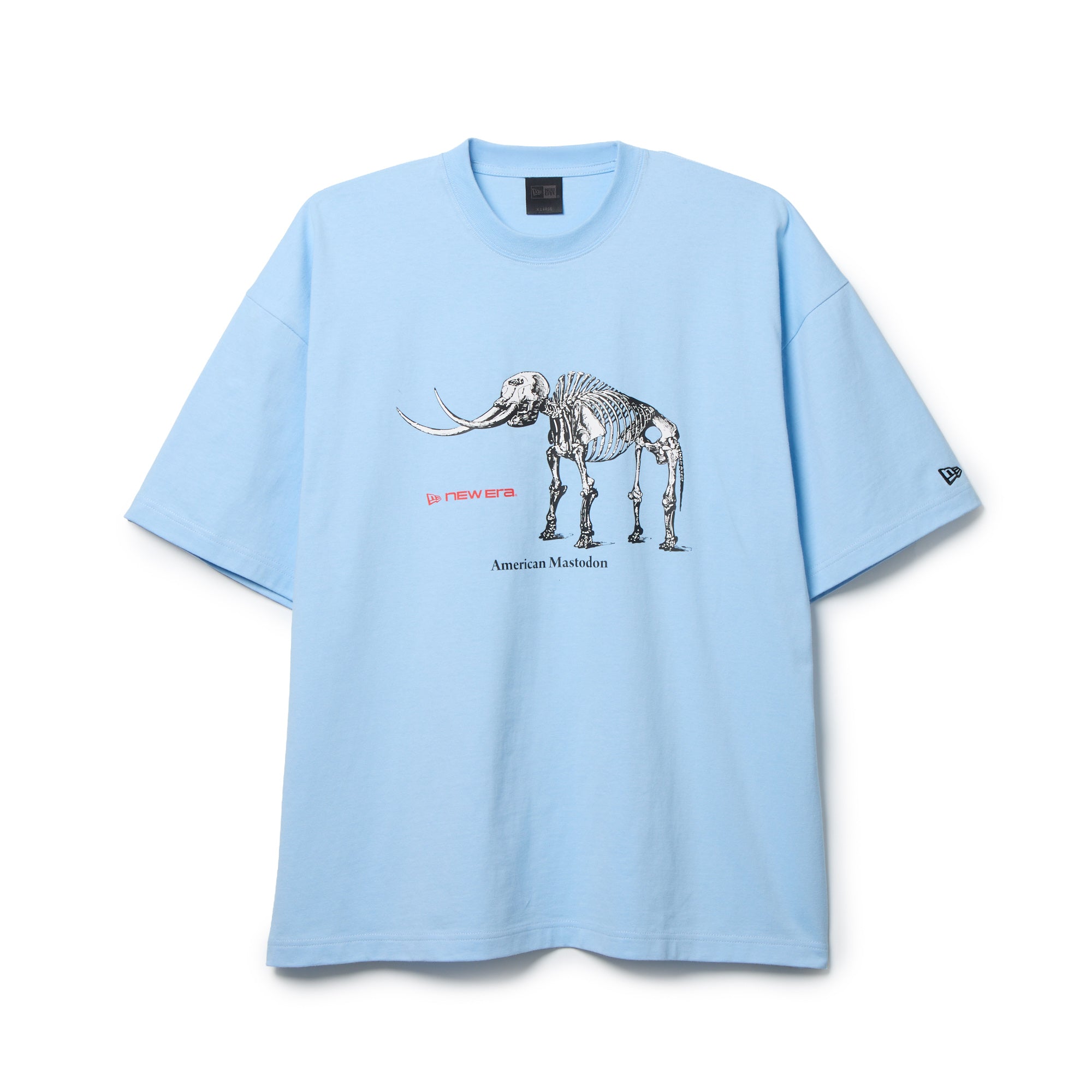 半袖 Fossil Tシャツ BLACK LABEL SS26 スカイブルー