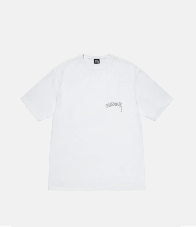【期間限定割引価格】STUSSY WINGSPAN TEE
