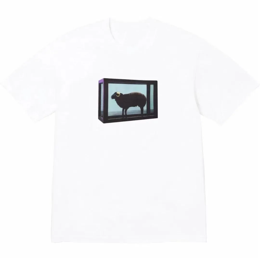 『S-3XL』ルーズフィット 韓国風 カジュアル プリント UVカット対応 ヴィンテージ風 Ｔシャツ