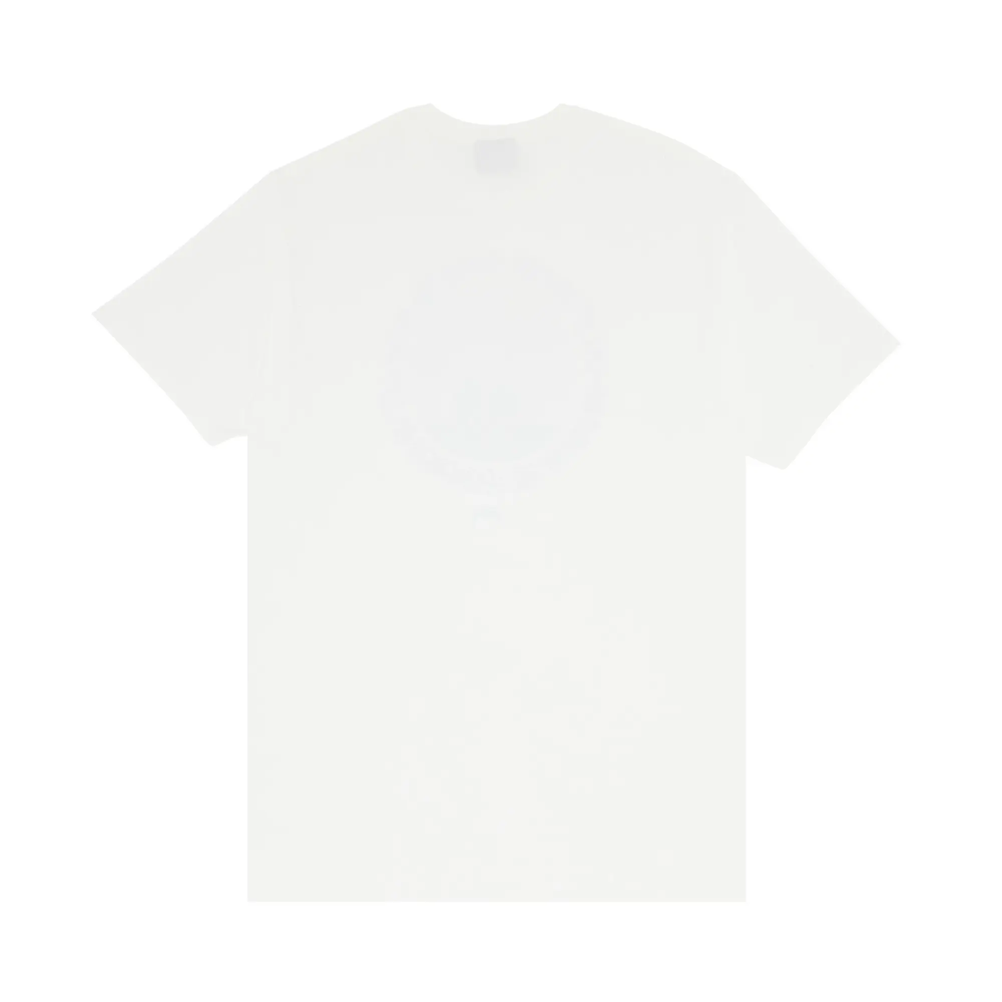Stussy Beach Buddies Tee