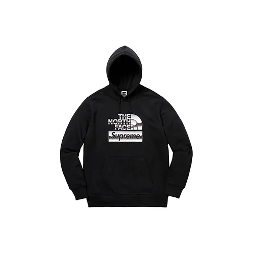 Supreme The North Face Metallic Logo Hooded Sweatshirt