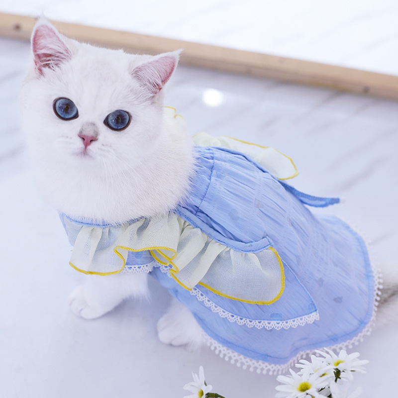 蝴蝶翩翩裙子