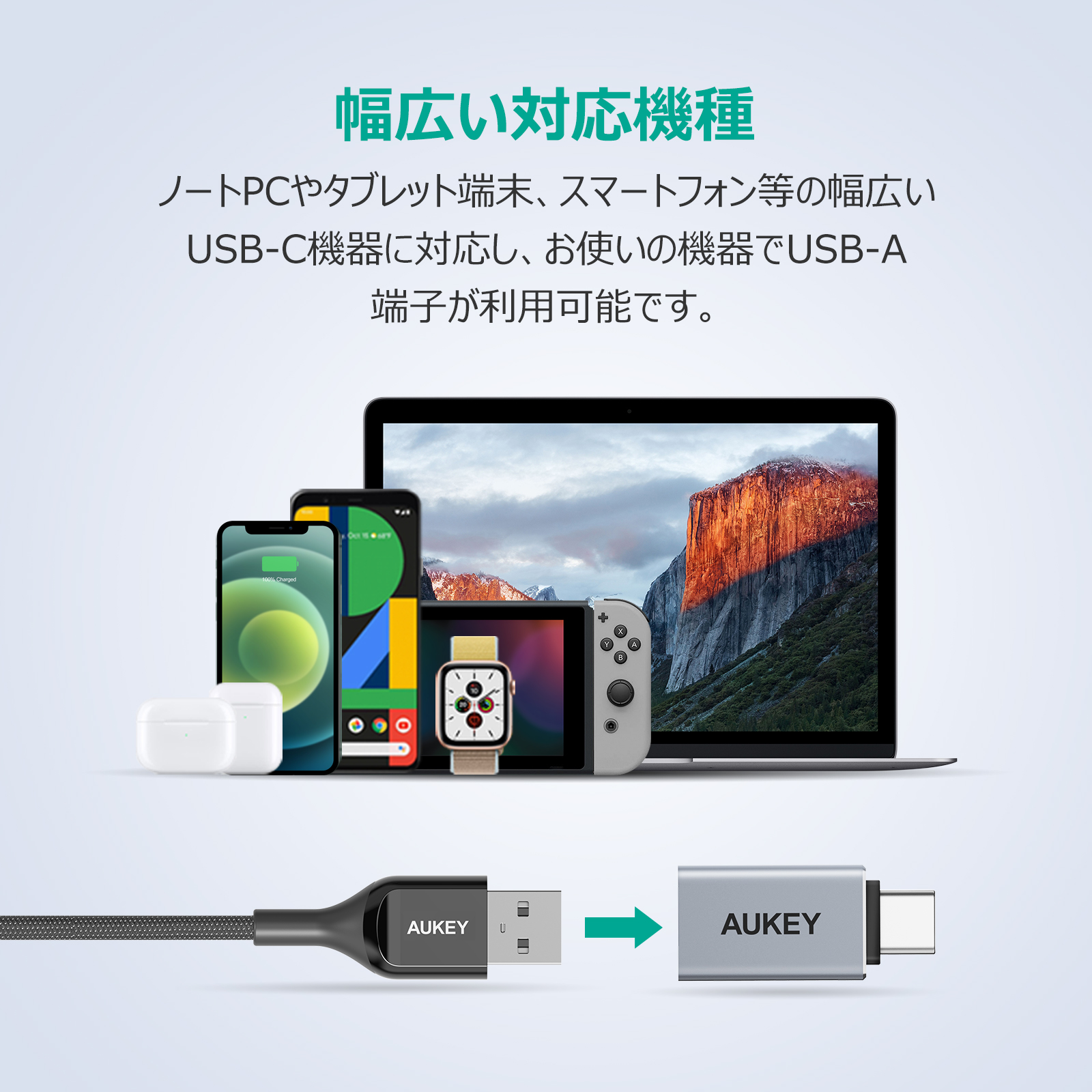 USB 3.0 A to C 変換アダプター(2個セット) CB-A22