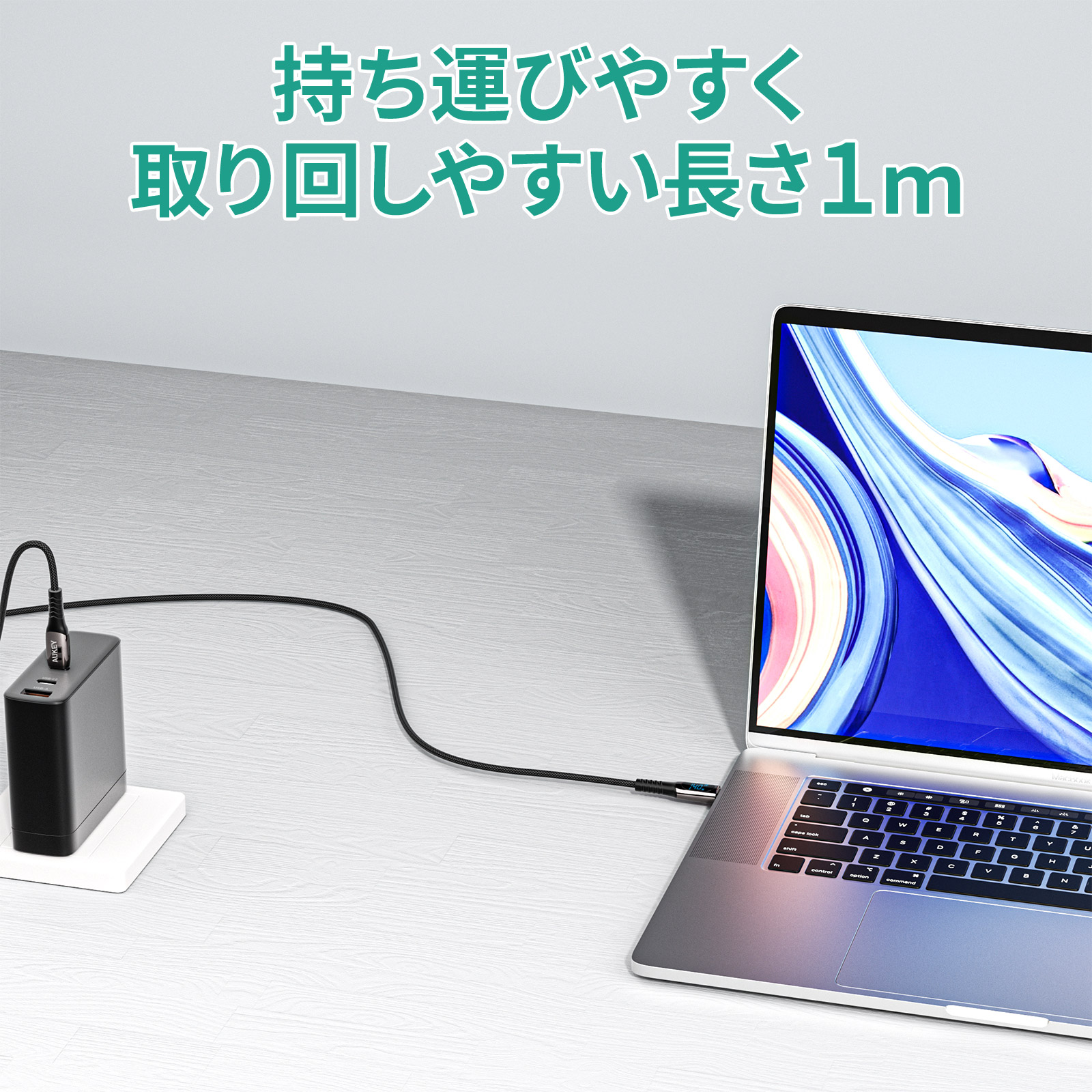 USB-C to Cケーブル CB-CC14