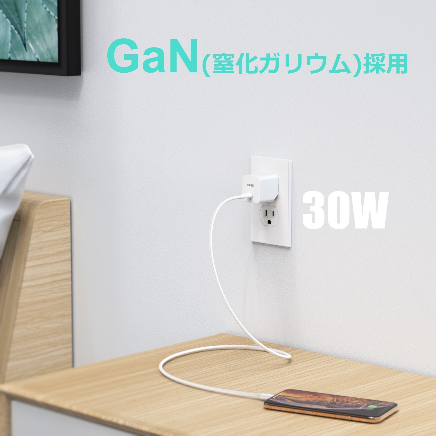 AUKEY オーキー 30W 窒化ガリウム(GaN) USB-C充電器 PA-Y19