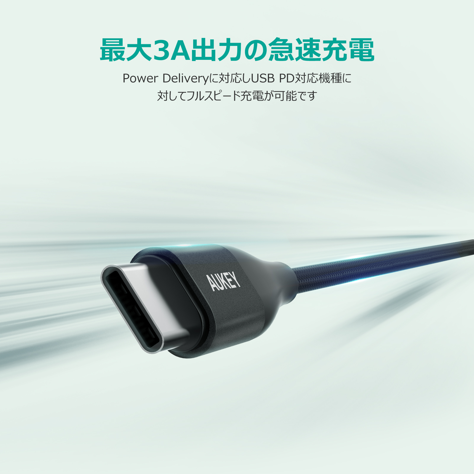 Impulse Series USB-C to USB-CケーブルCB-CC12 / CB-CC20