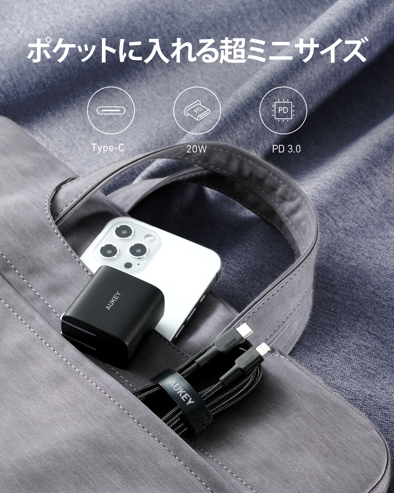 PA-F1S ケーブル付き