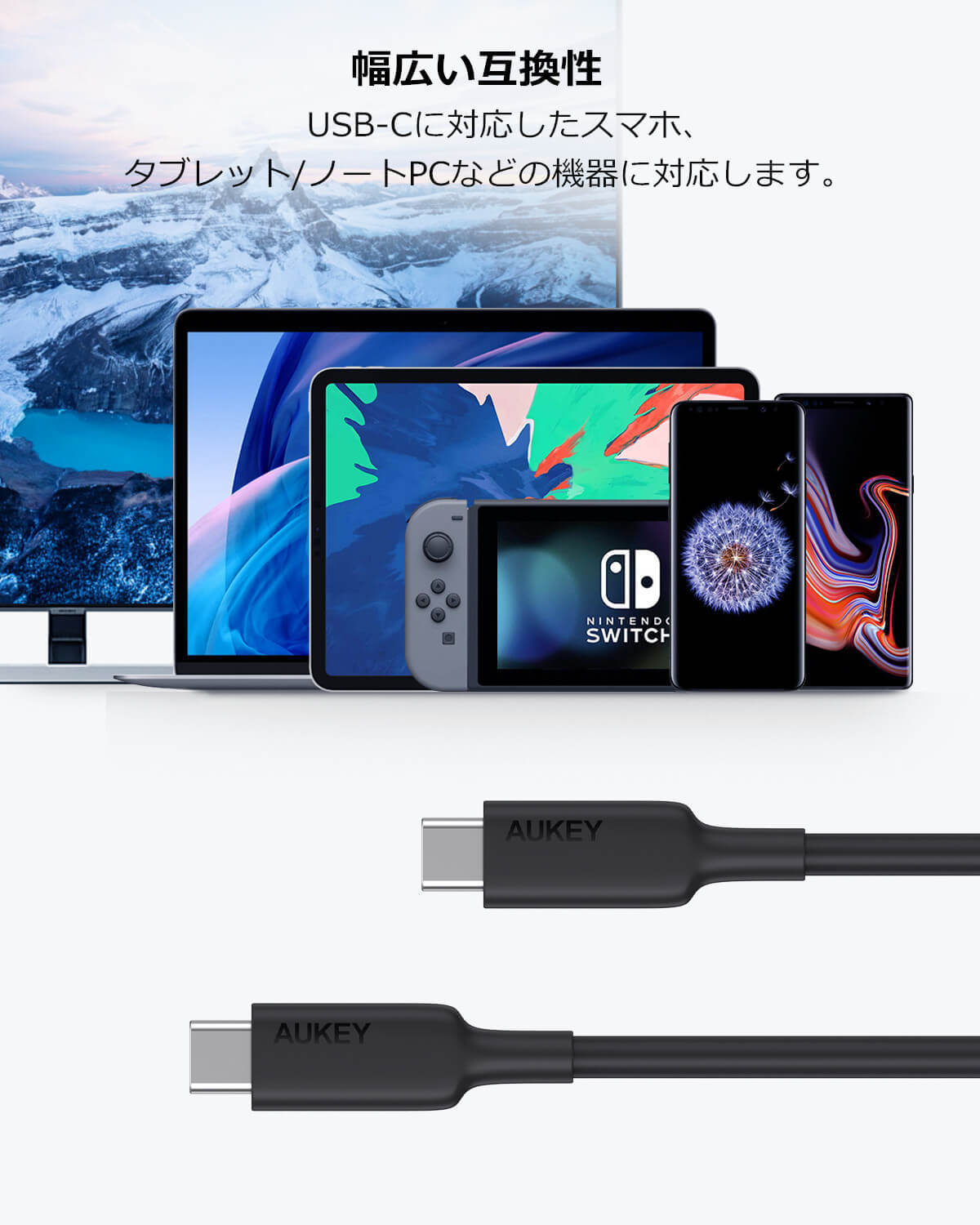 Type-C ケーブル CB-CD23