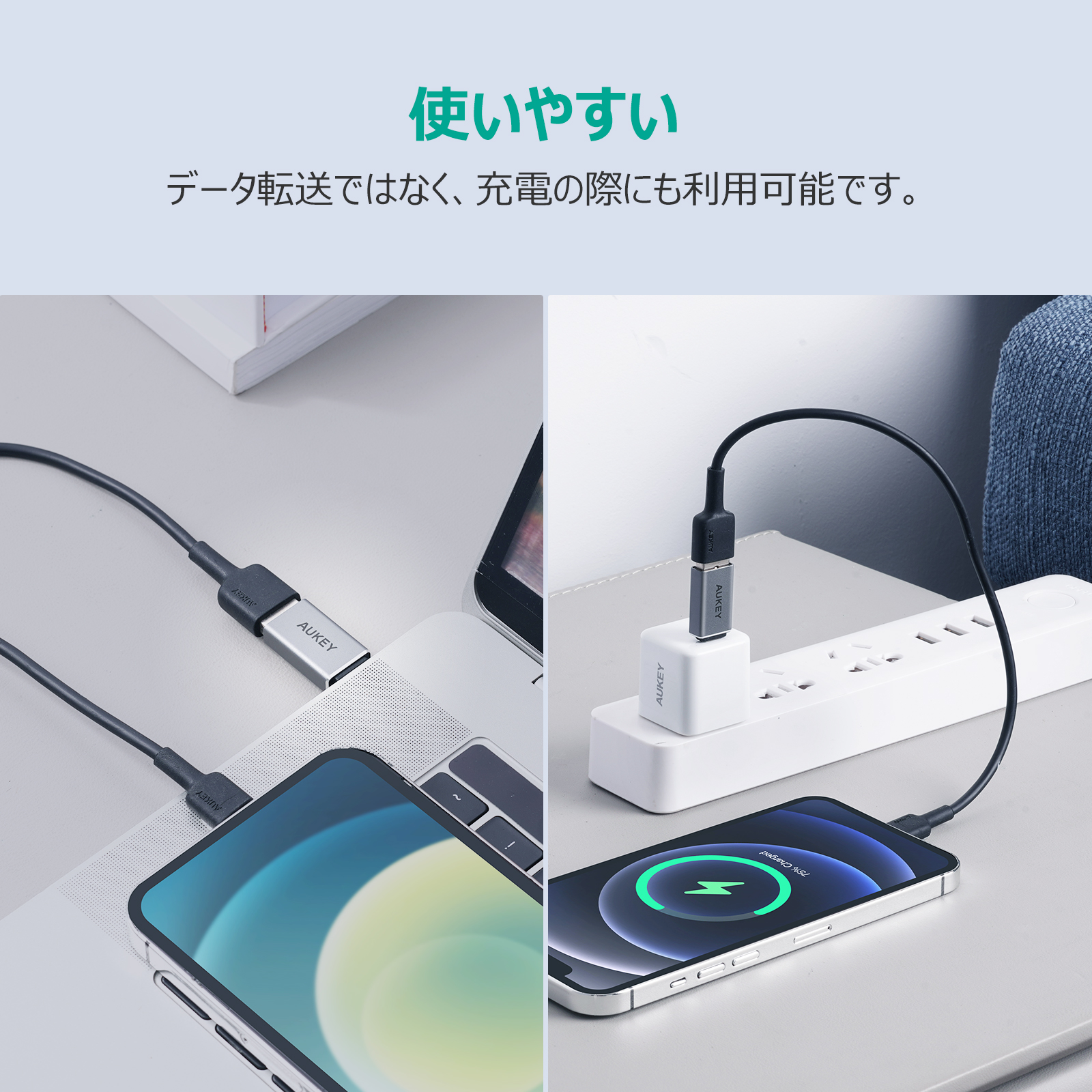 USB 3.0 A to C 変換アダプター(2個セット) CB-A22