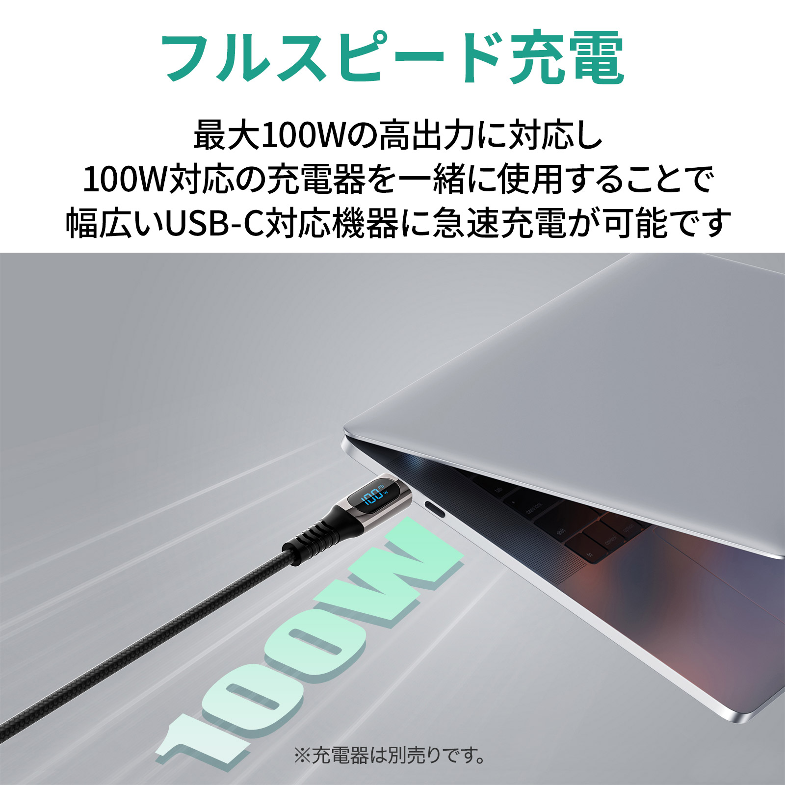 USB-C to Cケーブル CB-CC13