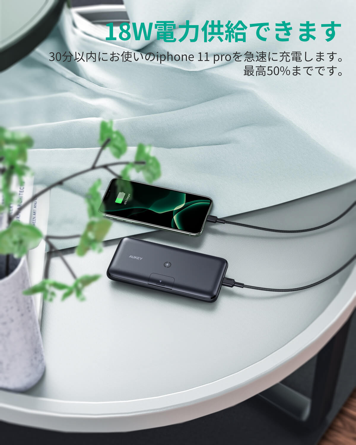 BEAVER　ポータバッテリー　PB-396　松冨 BEAVER ポータブルバッテリー［PB-396］496449701806039600mAh