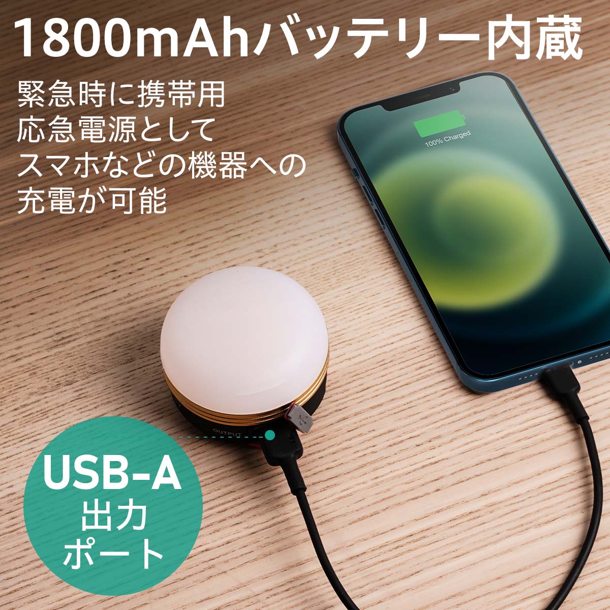 キャンプライト LT-SCL01