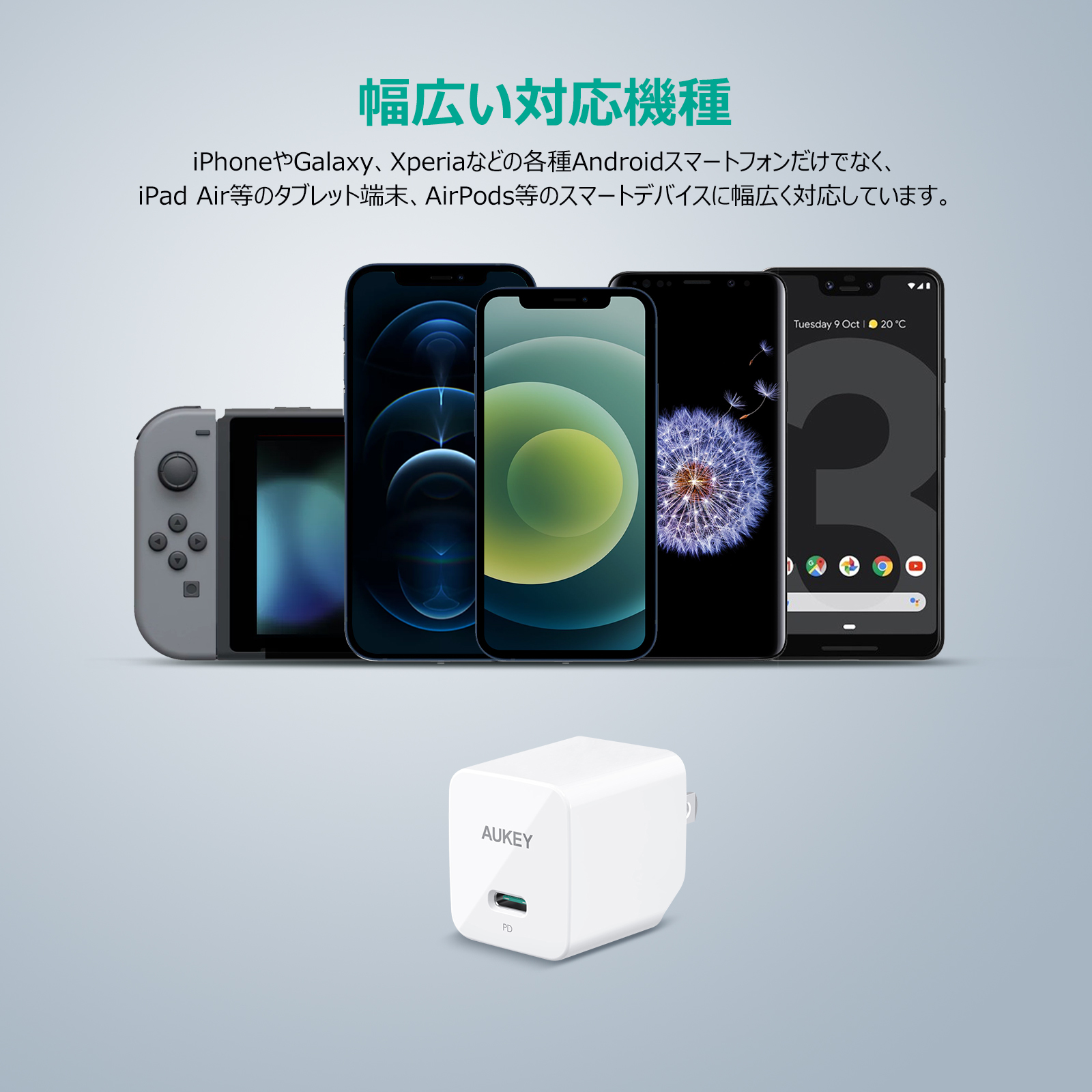 20W USB-C 急速充電器 PA-Y20S