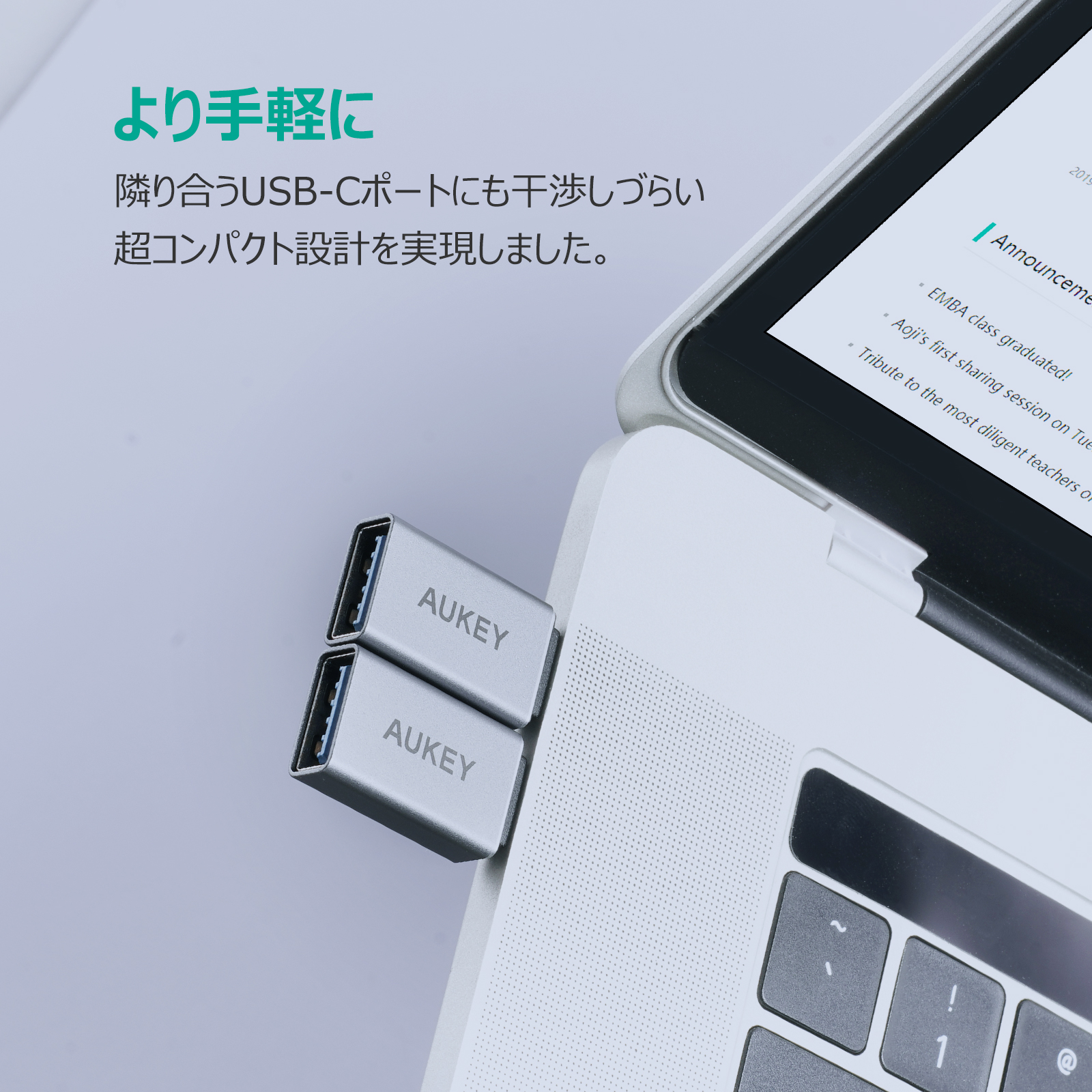 USB 3.0 A to C 変換アダプター(2個セット) CB-A22
