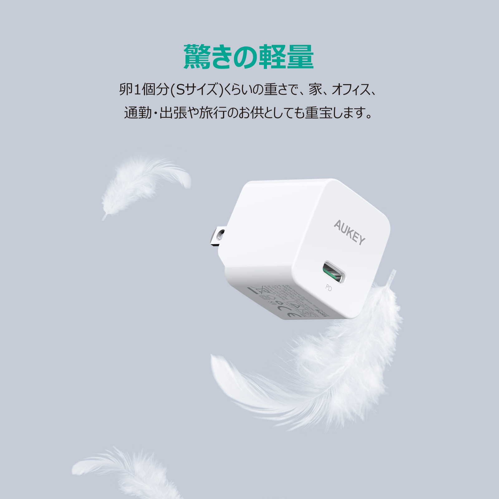 20W USB-C 急速充電器 PA-Y20S