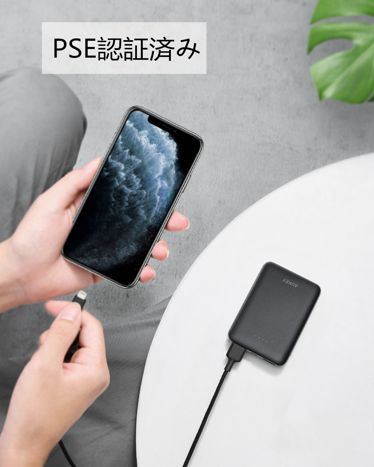 10000mAh モバイルバッテリー PB-N66