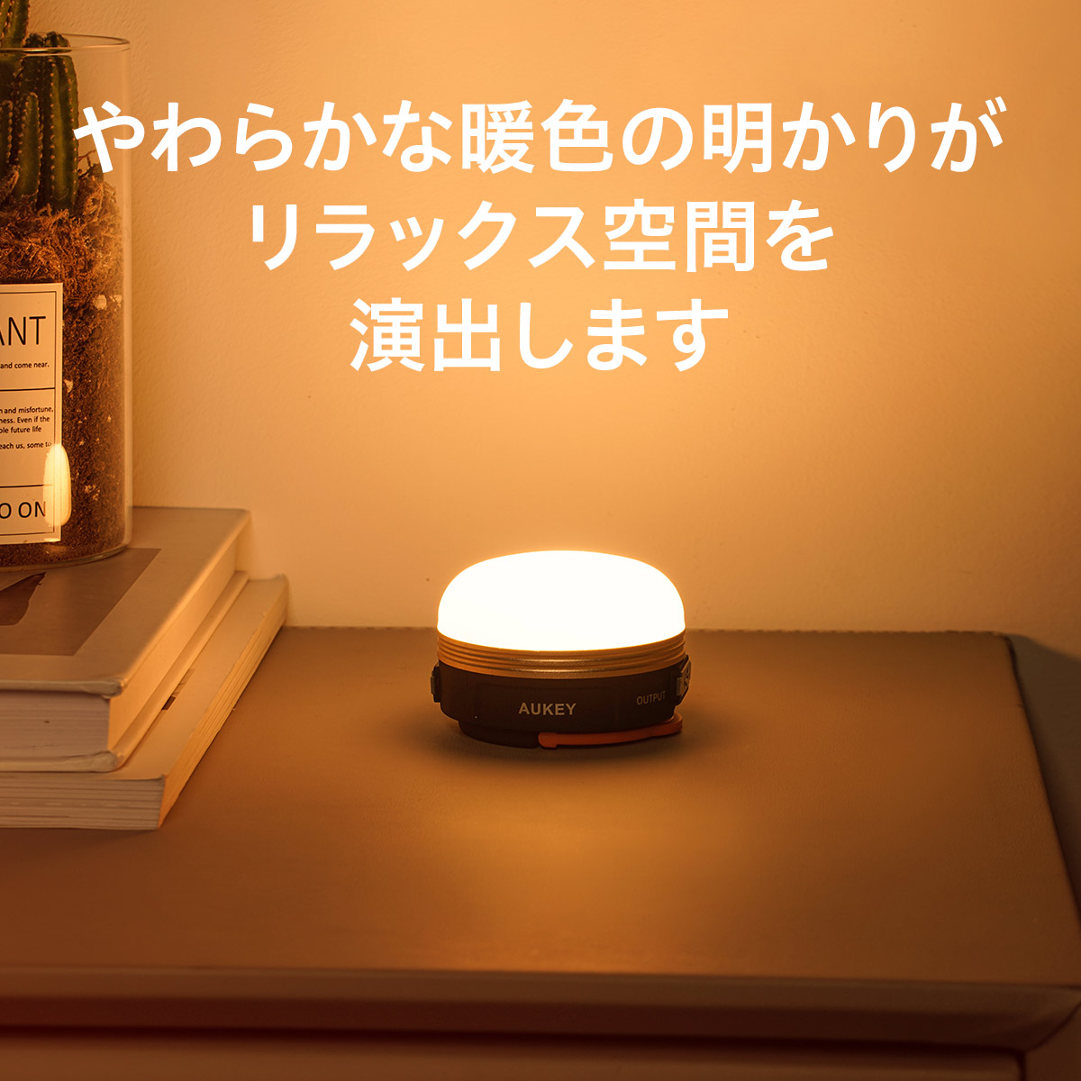 キャンプライト LT-SCL01