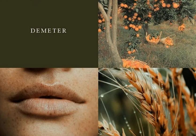 脈輪與原型|七脈輪對應的原始意象