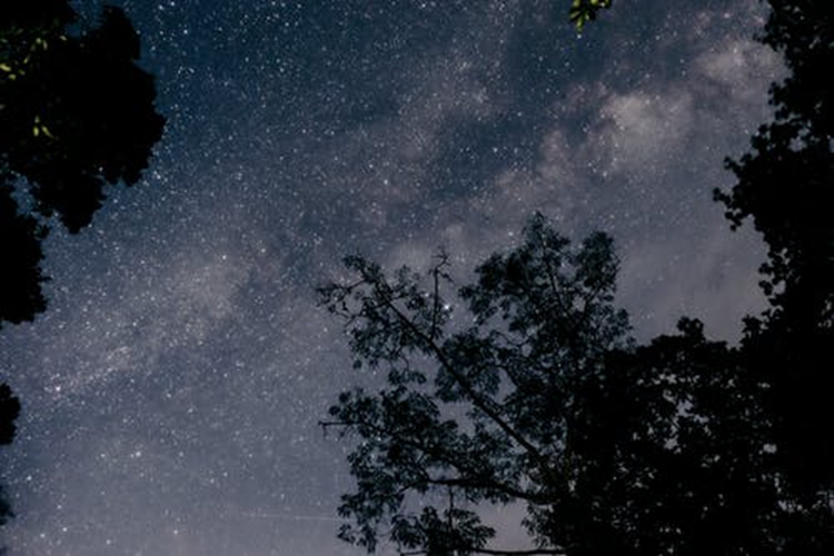 新年十二星座好運來襲-下