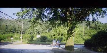 水逆期間,最治癒12星座的電影