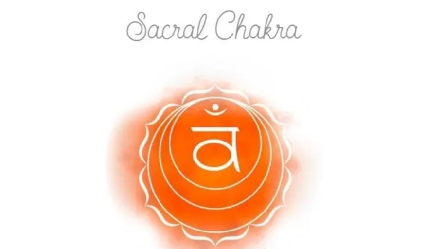 七脈輪對應的身體部位