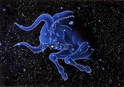 金牛座落在不同宮比特的表現-下