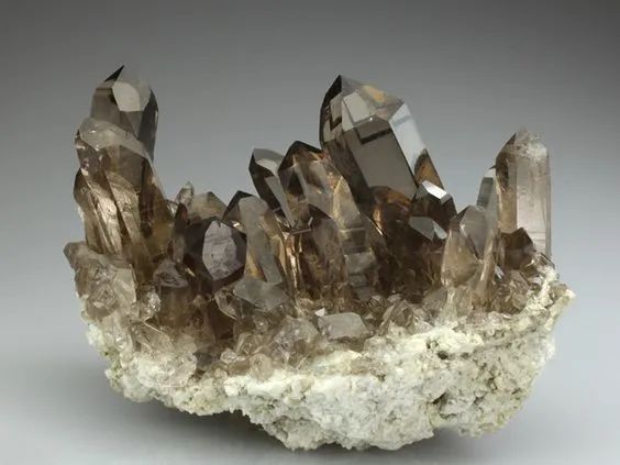 用茶晶療愈海底輪