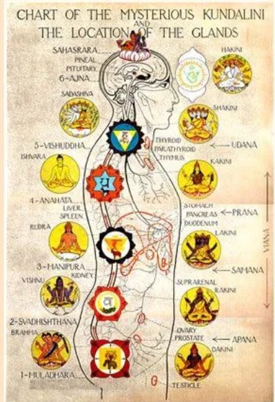 【脈輪】之海底輪全解析 