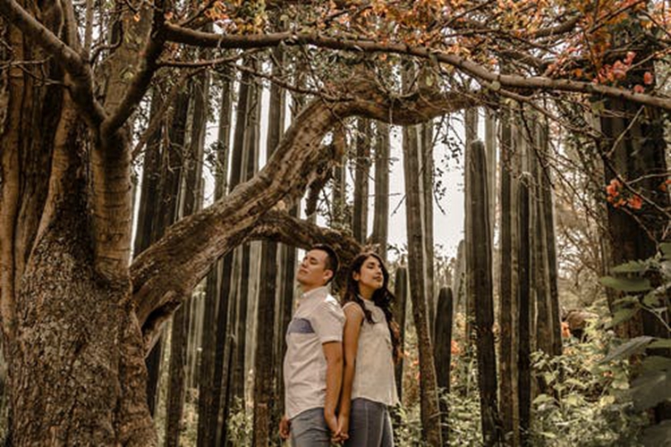 也許你從來都不懂天蠍座