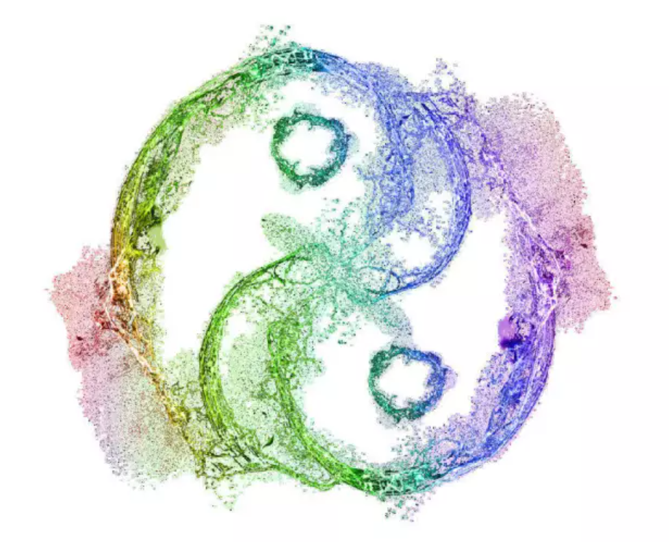 七輪&mdash;&mdash;流光冥想