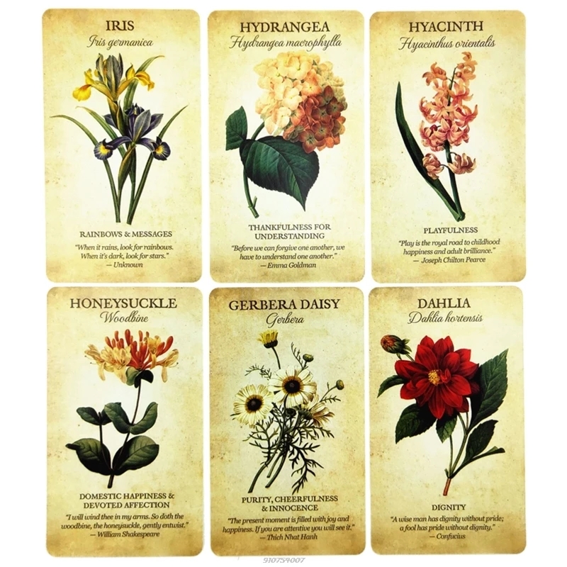 植物的啟示神諭卡Botanical Inspiration-魔法塔羅