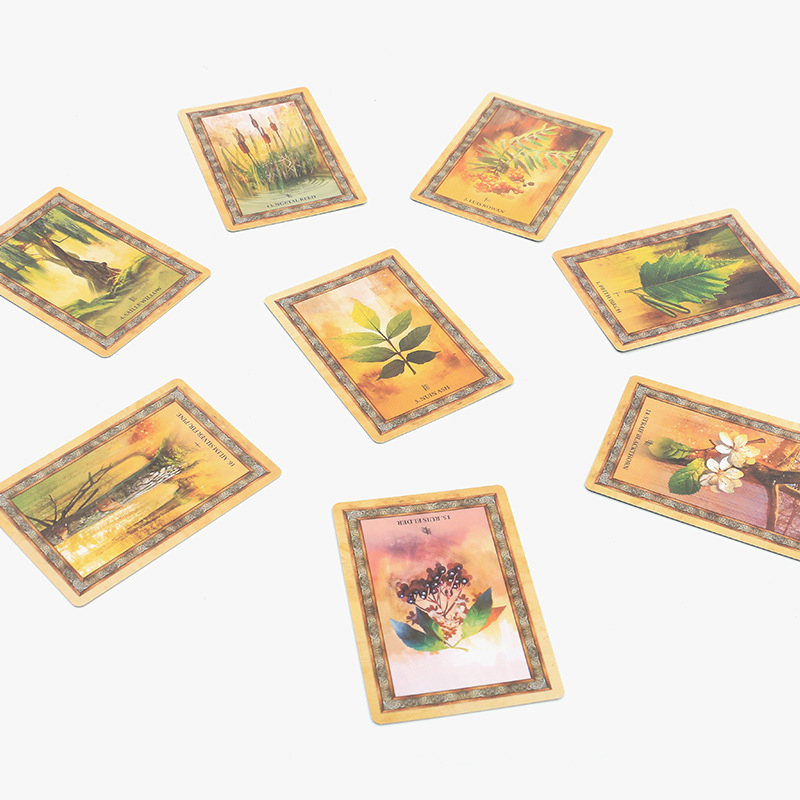  凱爾特之樹神諭卡Celtic Tree Oracle -魔法塔羅