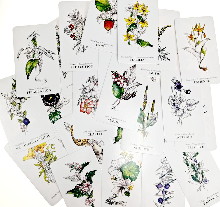 植訊神諭卡Hedgewitch Botanical Oracle-魔法塔羅