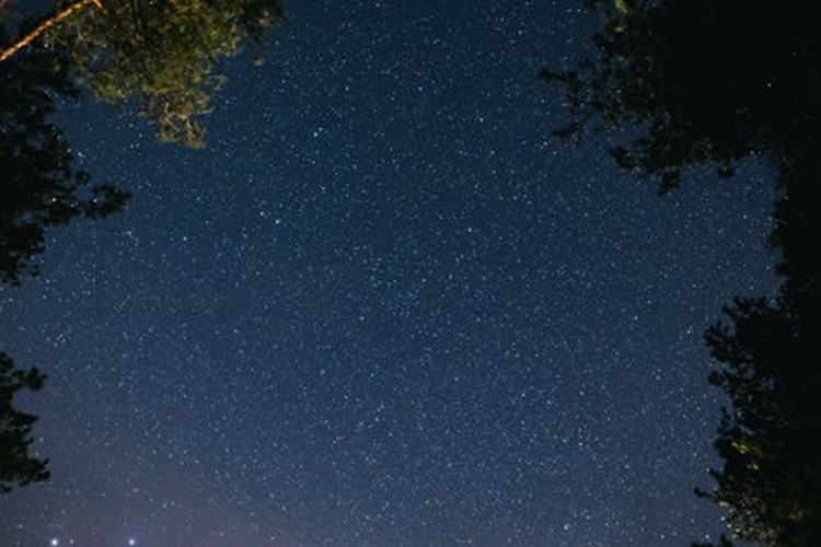 金牛只想要至死不渝的愛