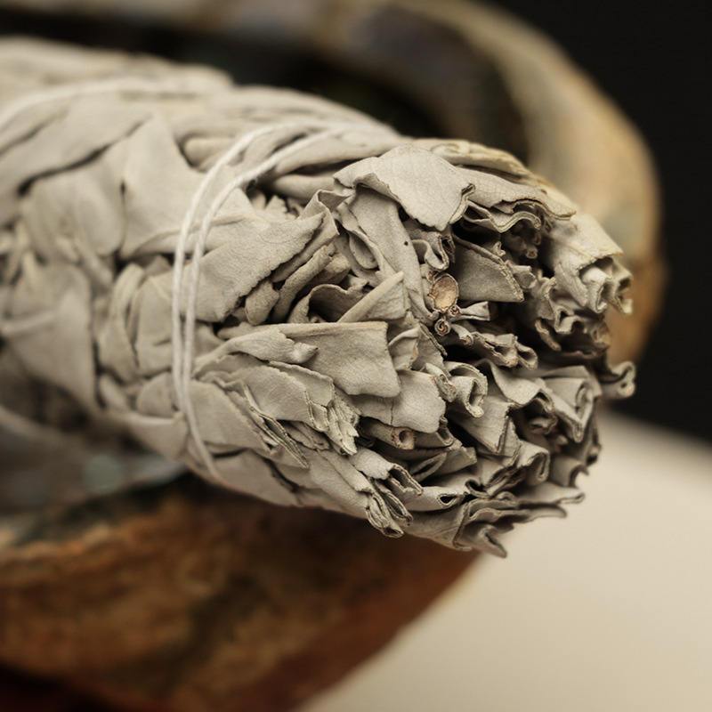 天然白鼠尾草-魔法塔羅