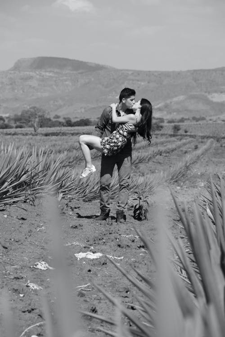 巨蟹座的理想型