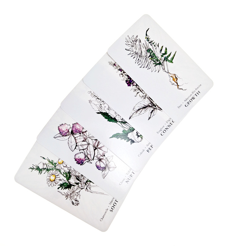 植訊神諭卡Hedgewitch Botanical Oracle-魔法塔羅